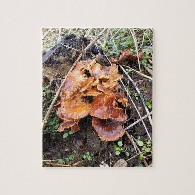 Puzzle Hongos en el bosque (Vertical)