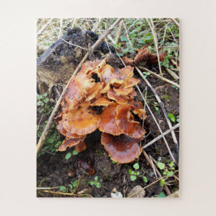 Puzzle Hongos en el bosque