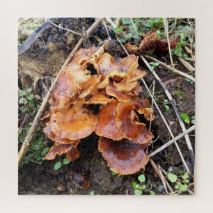 Puzzle Hongos en el bosque
