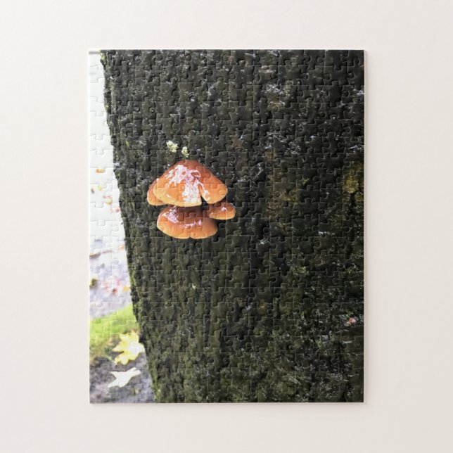 Puzzle Hongos en un árbol, Oregón (Vertical)