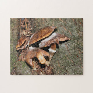 Puzzle Hongos Marrones Silvestres En La Naturaleza De La