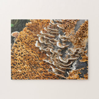 Puzzle Hongos Salvajes En La Naturaleza De La Madera