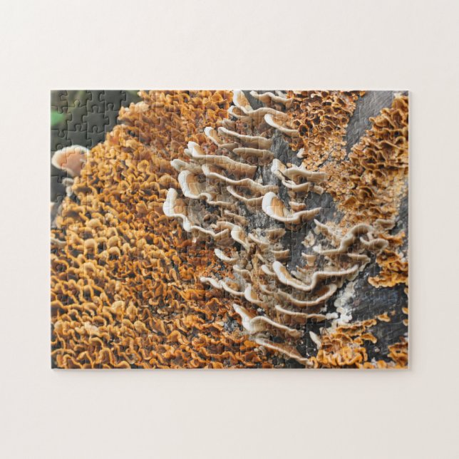 Puzzle Hongos Salvajes En La Naturaleza De La Madera (Horizontal)