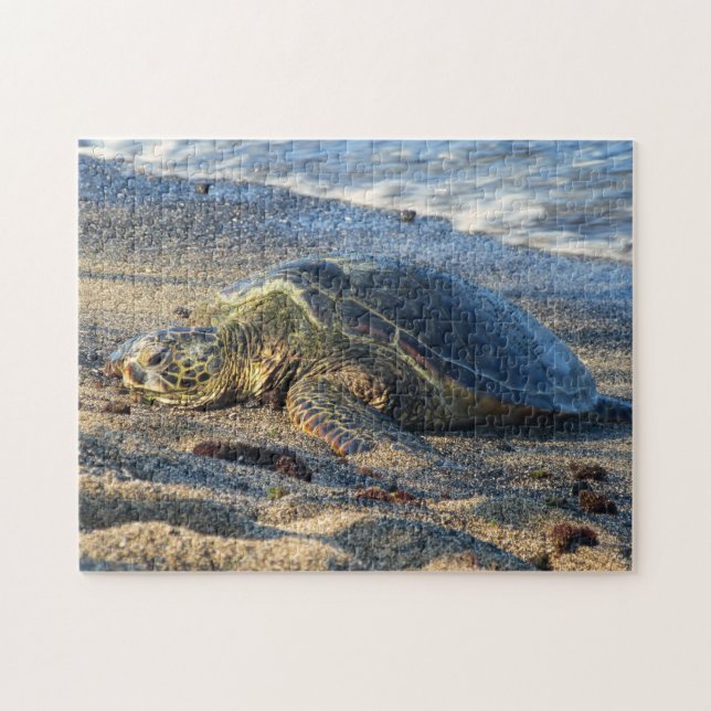 Puzzle Honu en la arena caliente (Horizontal)