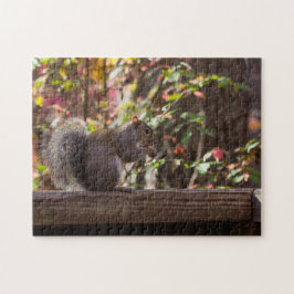 Puzzle Hora de comer para la ardilla