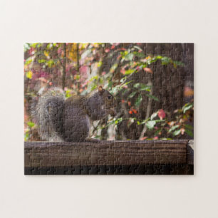 Puzzle Hora de comer para la ardilla