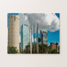 Horizonte de Tampa Florida.