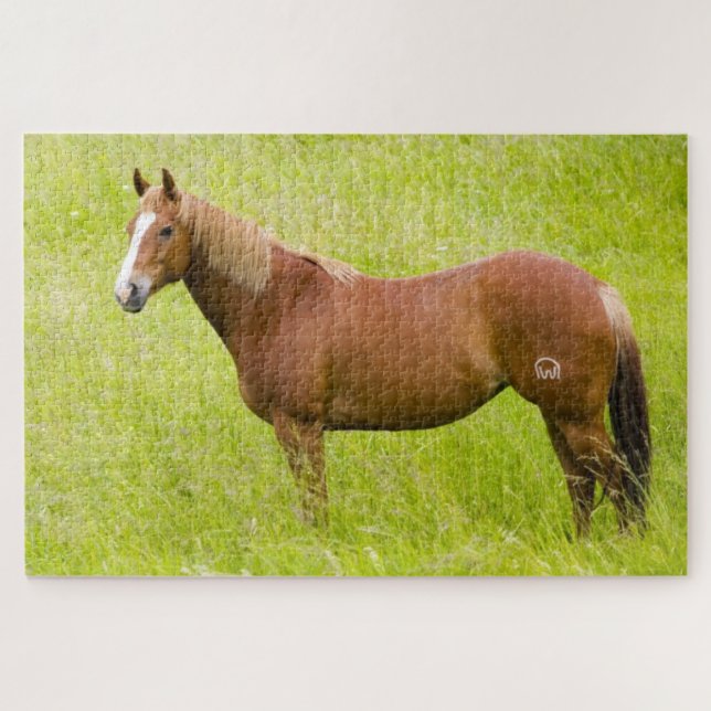 Puzzle Horse in Spring Field (Horizontal)