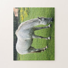 Puzzle Horse Jigsaw - Un caballo blanco enfureciendo en u