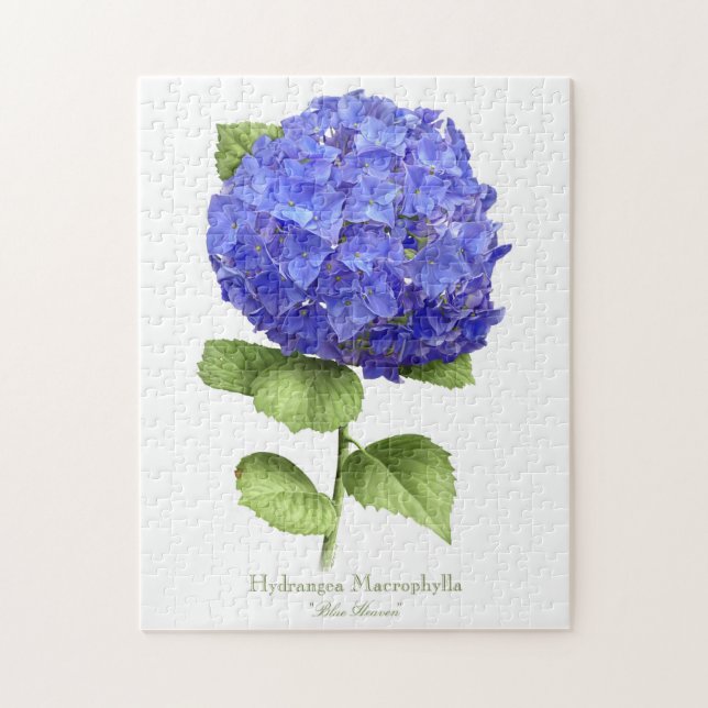 Puzzle Hortensia Azul (Vertical)