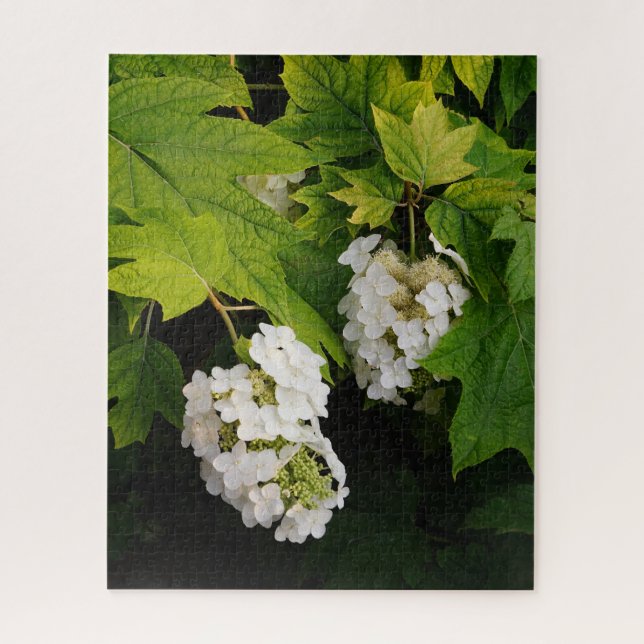 Puzzle Hortensia de hoja de roble (Vertical)