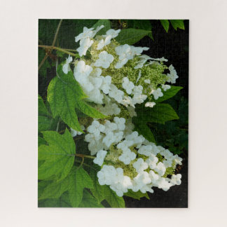Puzzle Hortensia de hoja de roble