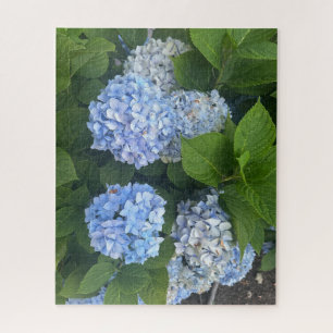 Puzzle Hortensias azules, San Lorenzo
