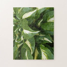 Puzzle Hosta Leaves