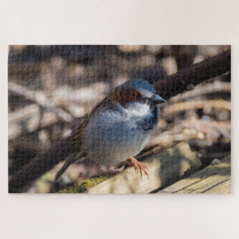 Puzzle House Sparrow