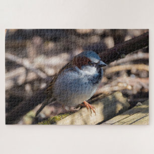 Puzzle House Sparrow