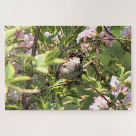 Puzzle House Sparrow