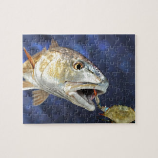 Puzzle Huelga de los salmones