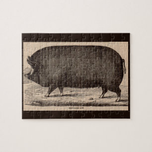 Puzzle Huella animal de granja del siglo XIX Berkshire so