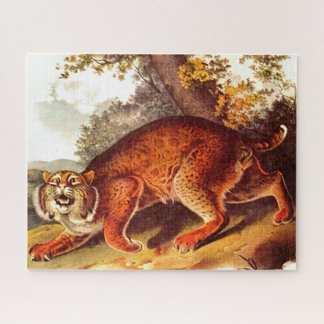 Puzzle Huella bobcat del siglo XIX (Horizontal)