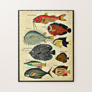 Puzzle huella de pescado antiguo
