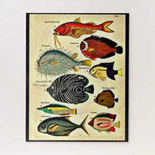 Puzzle huella de pescado antiguo