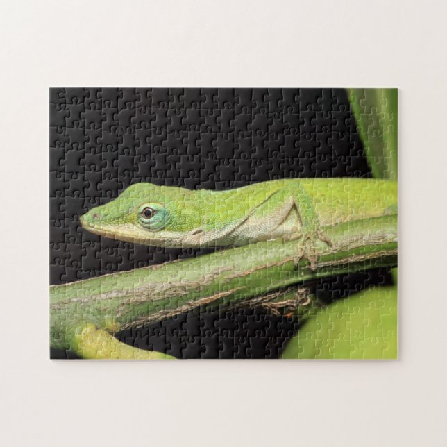 Puzzle Huerto verde lindo Anole Lizard Naturaleza Vida si (Horizontal)