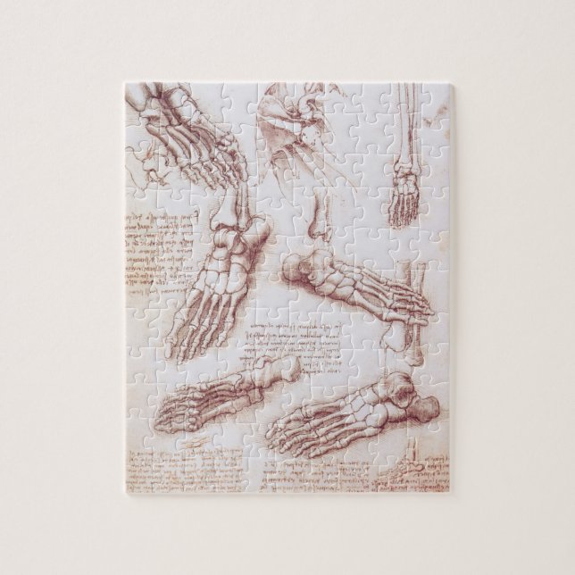 Puzzle Huesos del pie de la anatomía humana de Leonardo d (Vertical)