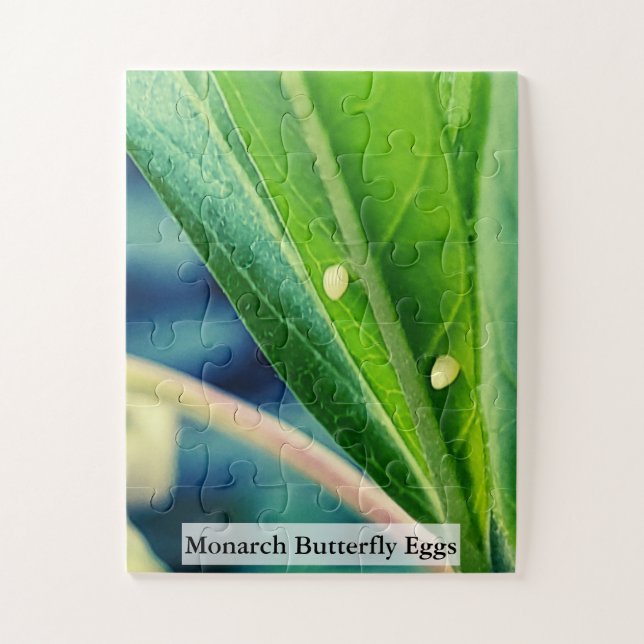 Puzzle Huevos de Mariposa Monarca 30Pcs (Vertical)