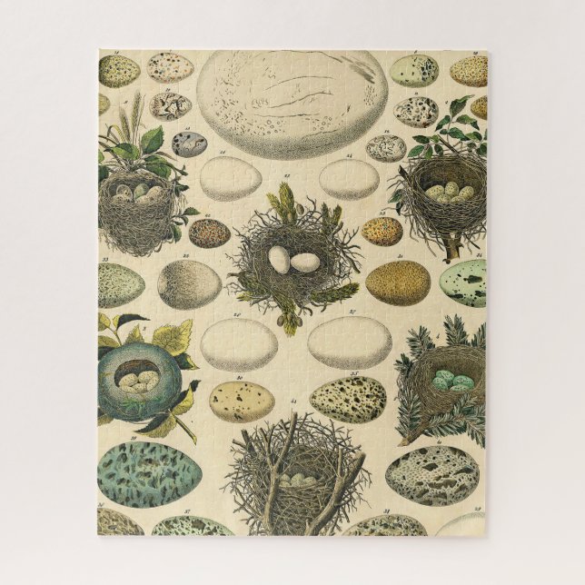 Puzzle Huevos de pintura de arte de nido de ave de ave vi (Vertical)