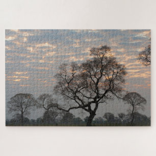 Puzzle Humedales del Pantanal   América del Sur, Brasil