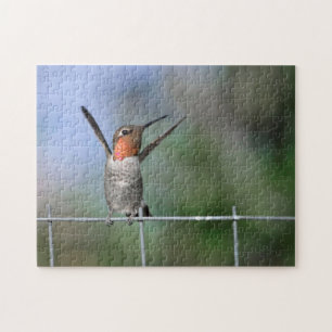 Puzzle Hummingbird