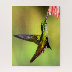 Puzzle Hummingbird
