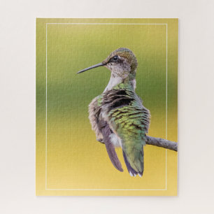 Puzzle Hummingbird En Alerta  