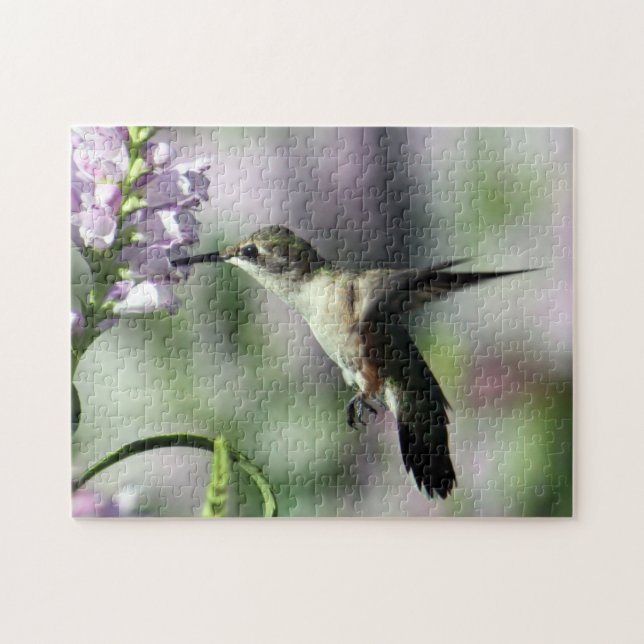 Puzzle Hummingbird Floral rosa foto de vida silvestre (Horizontal)