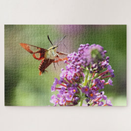 Puzzle Hummingbird Moth en una mariposa