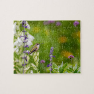 Puzzle Hummingbird Rest