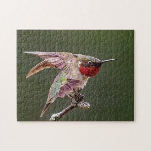 Puzzle Hummingbird Stretches