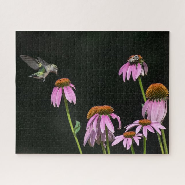 Puzzle Hummingbird Y Bee Comparten Una Conflor (Horizontal)