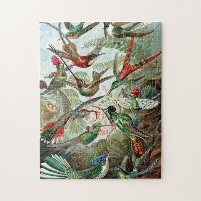 Puzzle Hummingbirds coloridas por Ernst Haeckel Poster (Vertical)