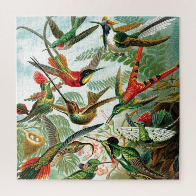 Puzzle Hummingbirds por Ernst Haeckel (Vertical)