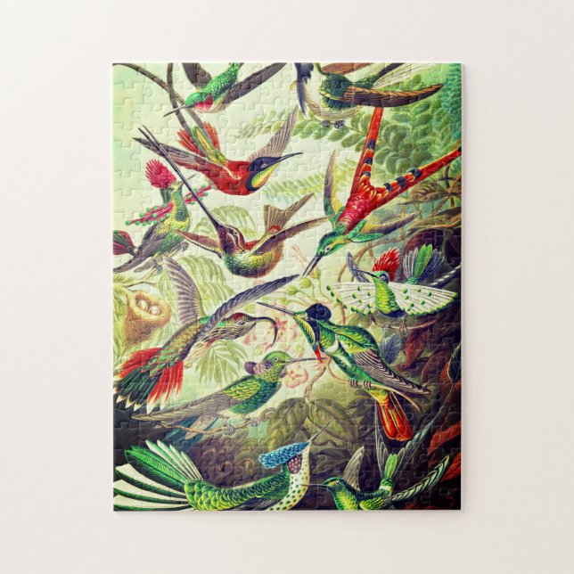 Puzzle Hummingbirds por Ernst Haeckel (Vertical)