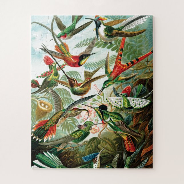 Puzzle Hummingbirds por Ernst Haeckel (Vertical)