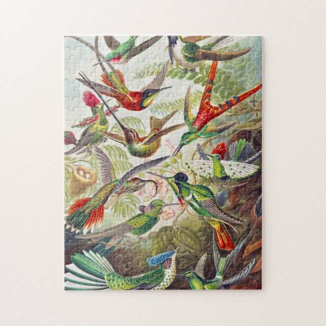 Puzzle Hummingbirds por Ernst Haeckel (Vertical)
