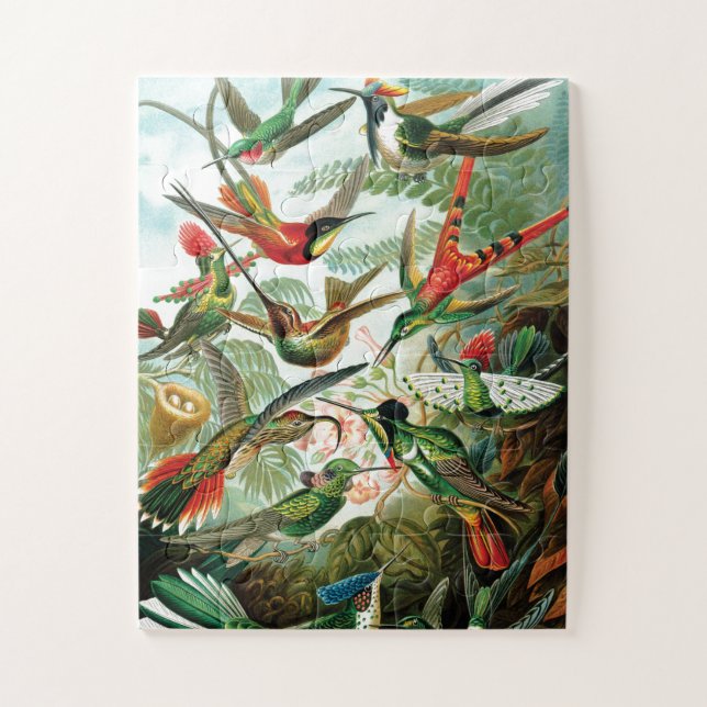 Puzzle Hummingbirds por Ernst Haeckel (Vertical)