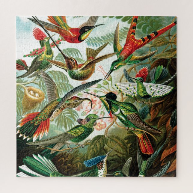 Puzzle Hummingbirds por Ernst Haeckel (Vertical)