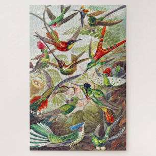 Puzzle Hummingbirds por Ernst Haeckel