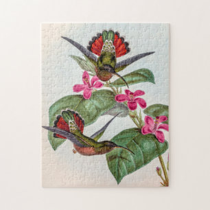Puzzle Hummingbirds por la cosecha de vintage por John Go