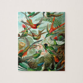 Puzzle Hummingbirds Vintage Arte Decorativo Ilustracion
