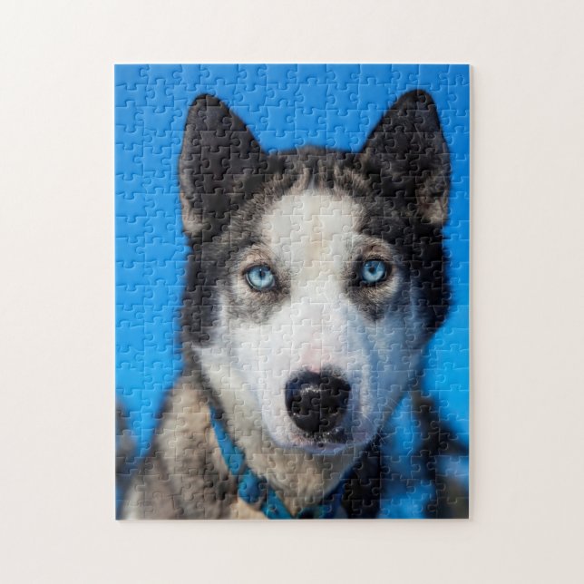 Puzzle Husky de Alaska. (Vertical)